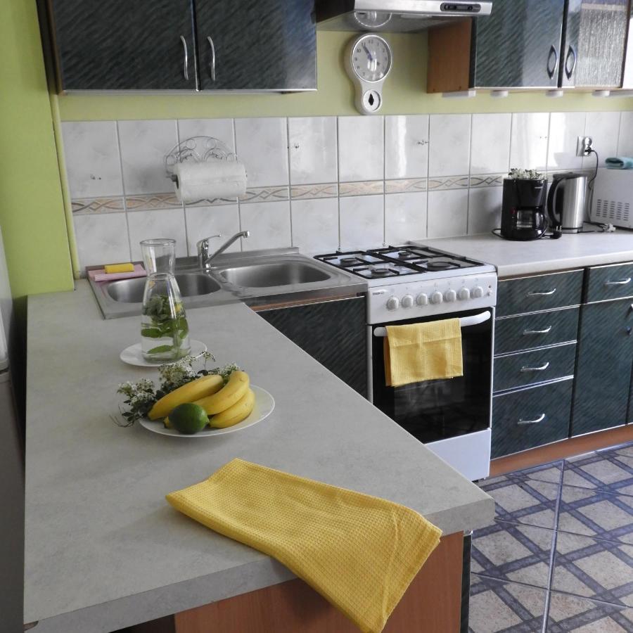 ギジツコApartament Przy Parkuアパートメント エクステリア 写真