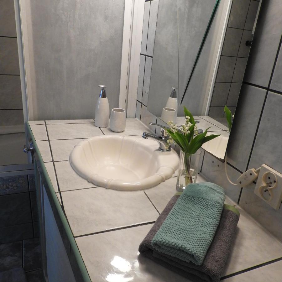 ギジツコApartament Przy Parkuアパートメント エクステリア 写真