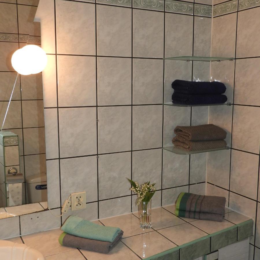 ギジツコApartament Przy Parkuアパートメント エクステリア 写真