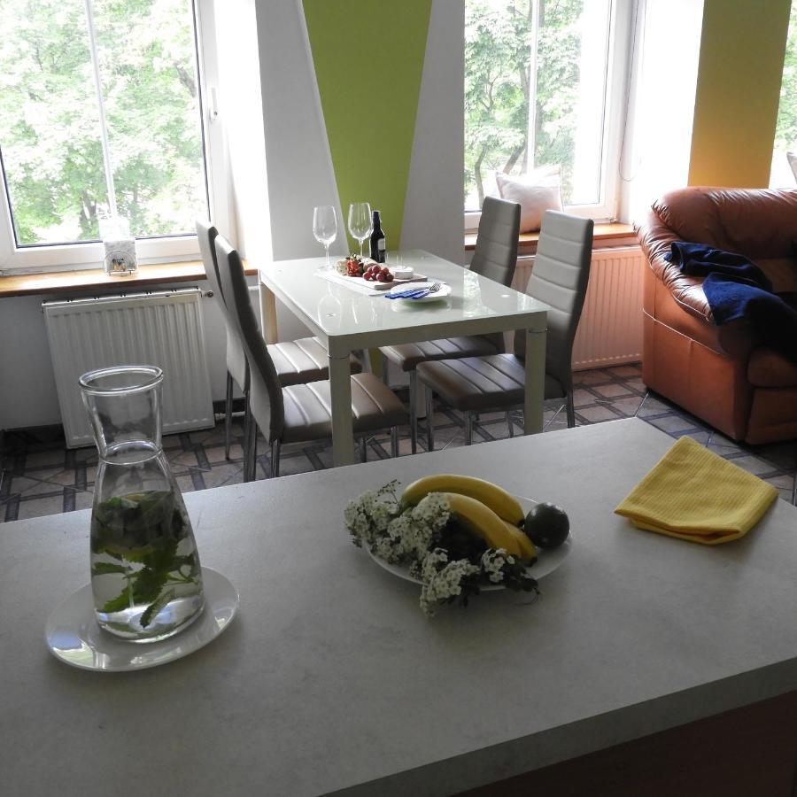 ギジツコApartament Przy Parkuアパートメント エクステリア 写真
